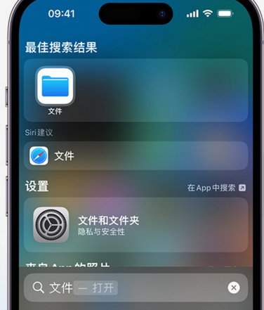 于都apple维修中心分享iPhone文件应用中存储和找到下载文件 