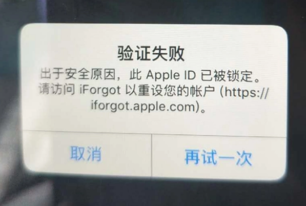 于都iPhone维修分享iPhone上正常登录或使用AppleID怎么办 