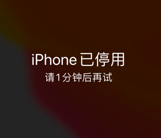 于都苹果手机维修分享:iPhone 显示“不可用”或“已停用”怎么办？还能保留数据吗？ 