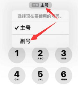 于都苹果14维修店分享iPhone 14 Pro Max使用副卡打电话的方法 