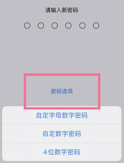 于都苹果14维修分享iPhone 14plus设置密码的方法 