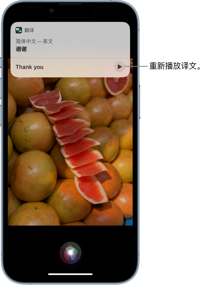 于都苹果14维修分享 iPhone 14 机型中使用 Siri：了解 Siri 能帮你做什么 