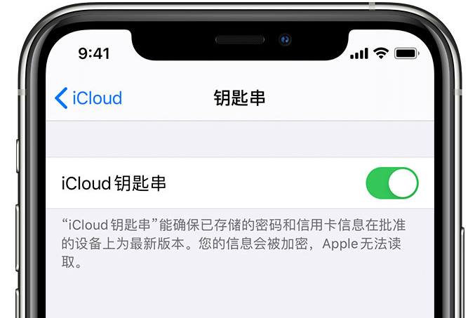 于都苹果手机维修分享在 iPhone 上开启 iCloud 钥匙串之后会储存哪些信息 