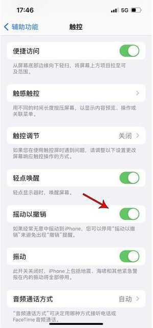 于都苹果手机维修分享iPhone手机如何设置摇一摇删除文字 